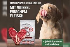 PLATINUM Premium Hundenahrung – Hunde brauchen frisches Fleisch